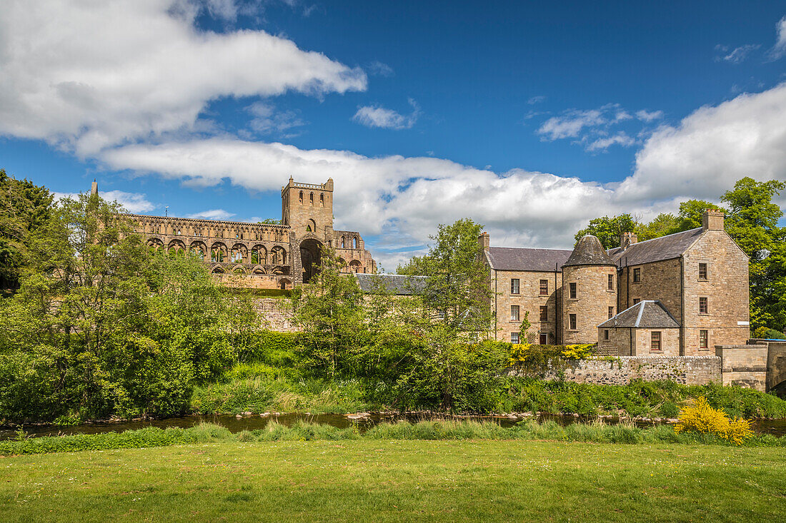 Ruine des Klosters Jedburgh Abbey am Fluss Jed Water, Jedburgh, Scottish Borders, Schottland, Großbritannien