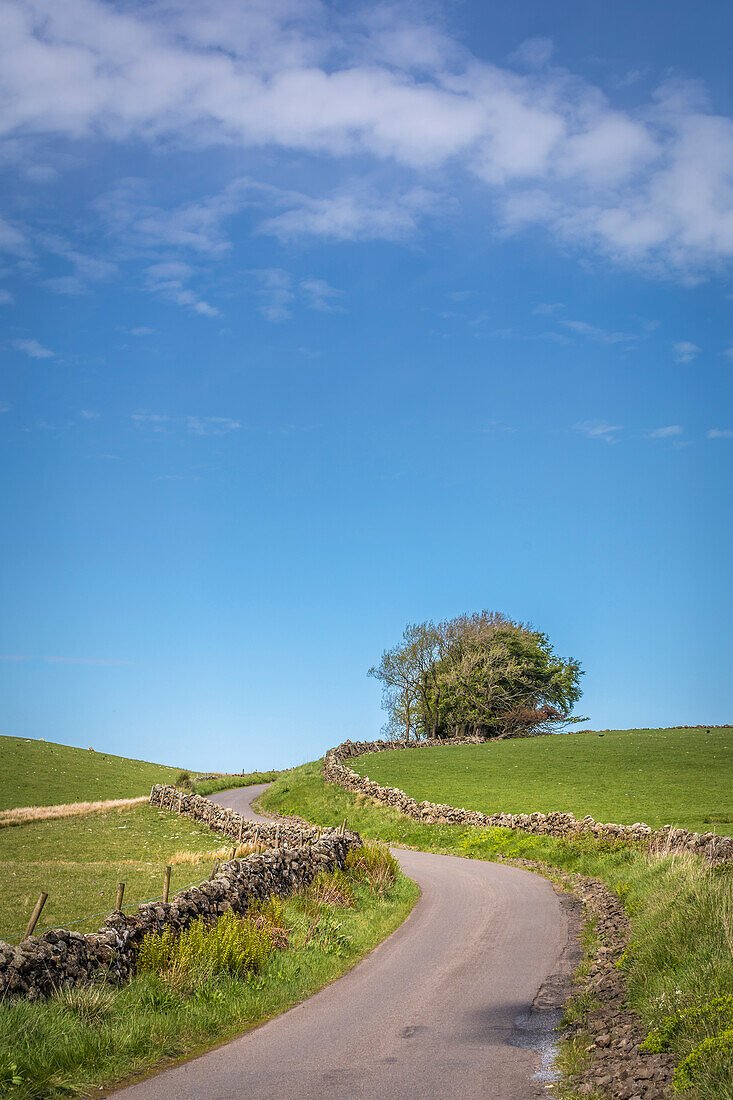 Landstraße durch die Weide- und Moorlandschaft südlich von Stirling, Stirling, Schottland, Großbritannien