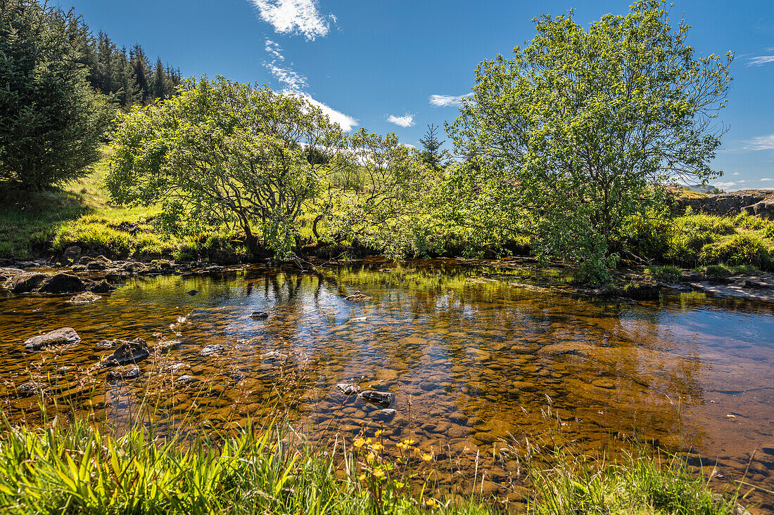 Der kleine Endrick River beim Loop of Fintry, Stirling, Schottland, Großbritannien