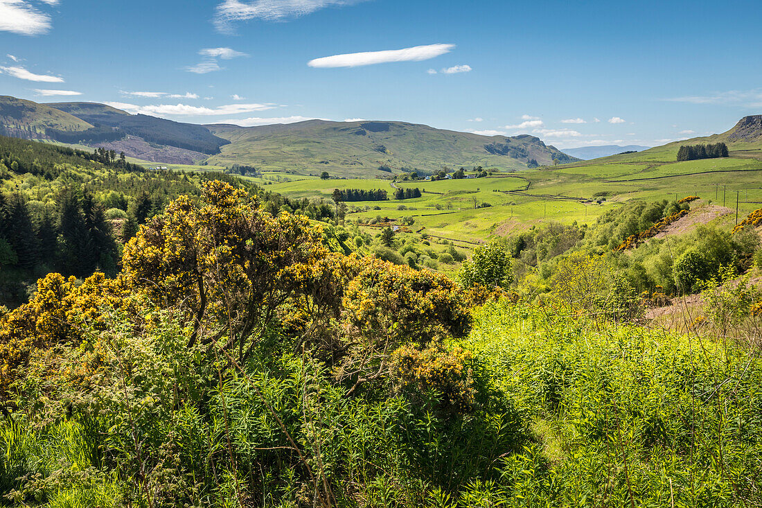 Fintry Hills beim Dorf Fintry, Stirling, Schottland, Großbritannien