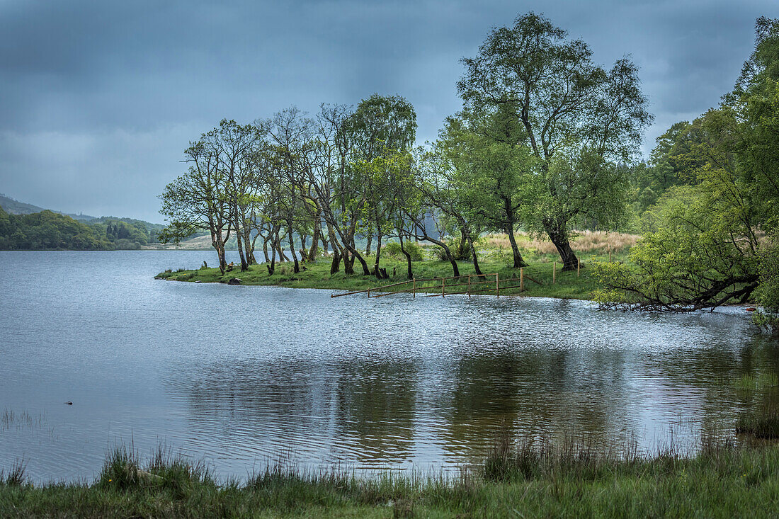 South shore of Loch Achray, Stirling, Scotland, UK