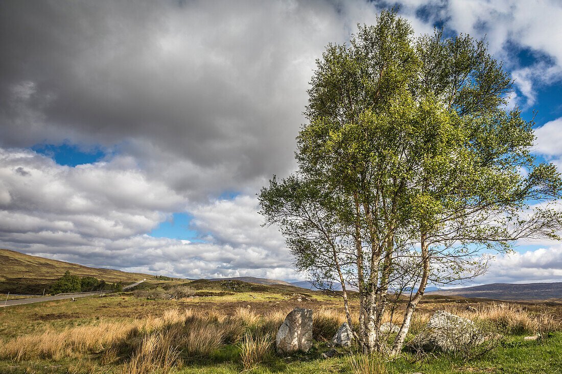 Rannoch Moor bei Loch Bà, Argyll and Bute, Schottland, Großbritannien