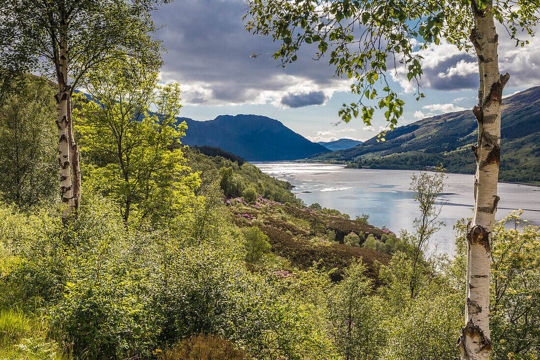 Aussichtspunkt oberhalb Loch Leven, Blick nach Westen, Kinlochleven, Highlands, Schottland, Großbritannien