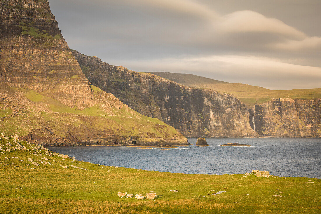Waterstein Head mit Moonen Bay beim Neist Cliff, Isle of Skye, Highlands, Schottland, Großbritannien