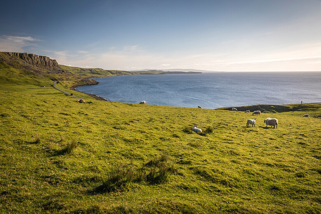 Bucht an der Nordwestküste der Trotternish Halbinsel, Isle of Skye, Highlands, Schottland, Großbritannien