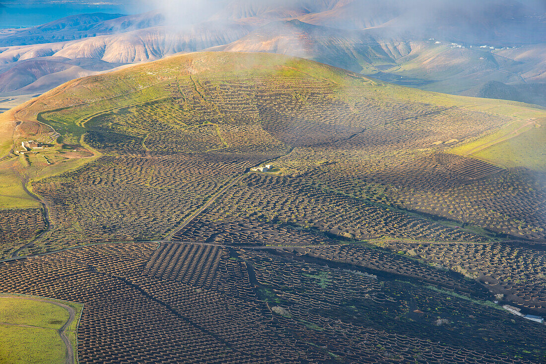 Weinanbaugebiet La Geria, Lanzarote, Kanarische Inseln, Spanien, Europa