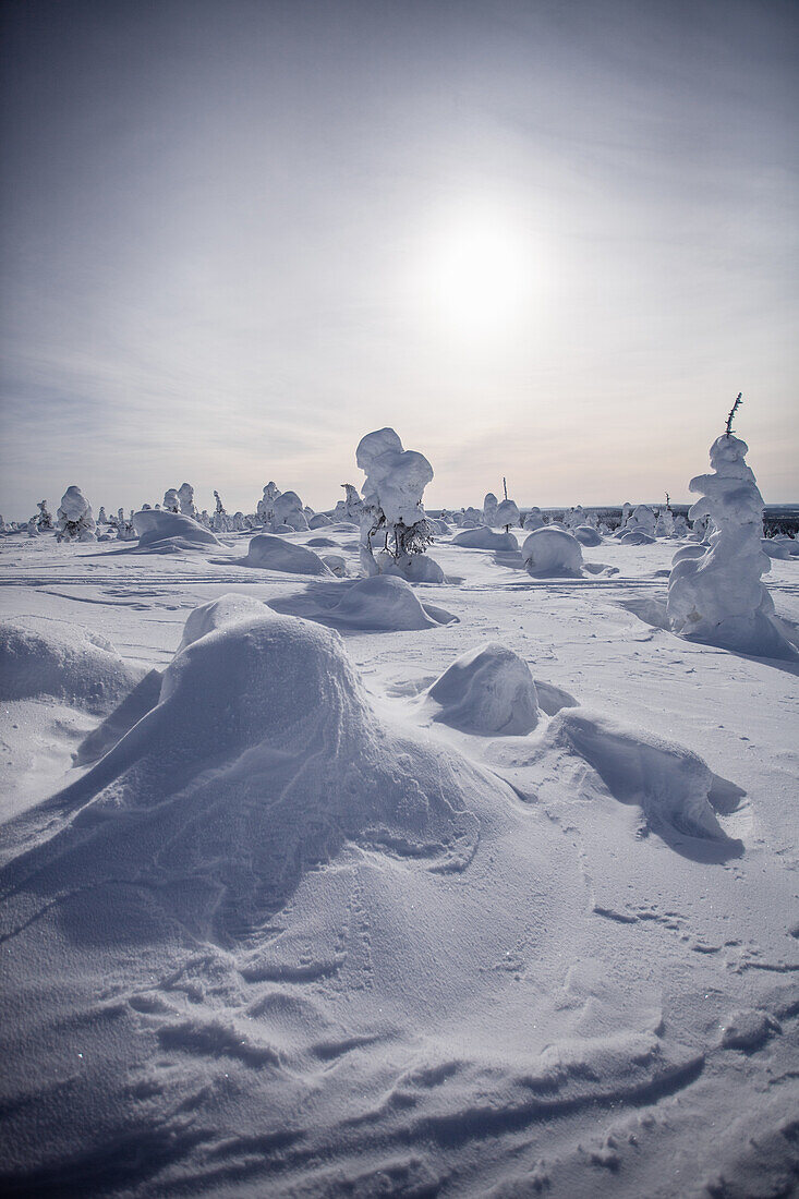 Winterlandschaft in Salla, Finnland