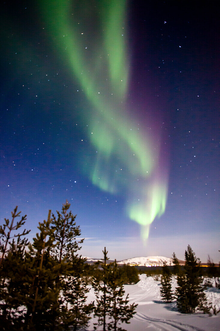 Nordlichter in Salla, Lappland, Finnland