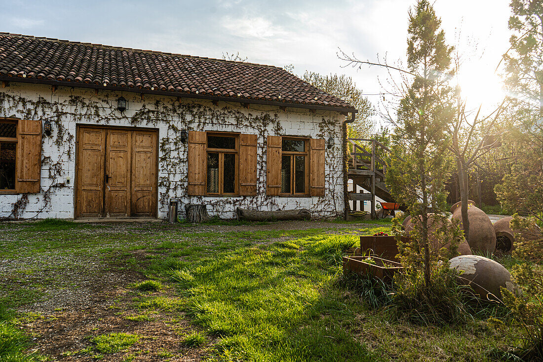 Weingut, Gebäude mit weißen Steinwänden, bedeckt mit Trauben und Dachschindeln, Georgien, Eurpoa