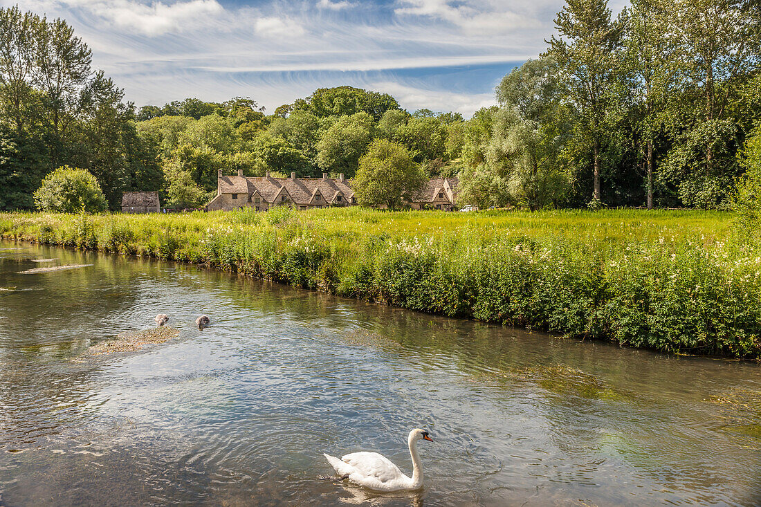 River Coln at Bibury, Cotswolds, Gloucestershire, England