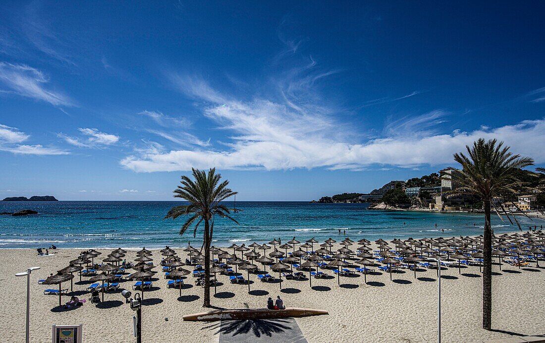 Panoramablick zur Platja de Palmira, im Hintergrund die Malgrats Inseln und die Küste von Fornells, Paguera, Peguera, Mallorca, Spanien