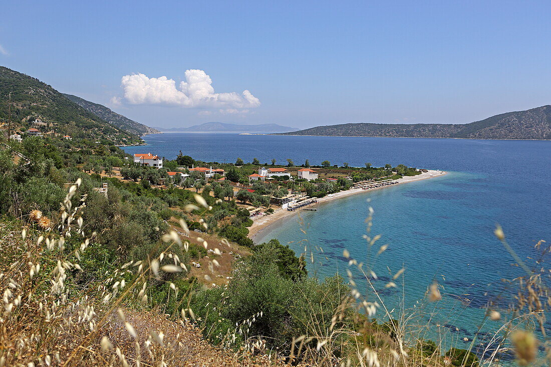 Blick auf Strand von Agios Dimitrios, Insel Alonissos, Nördliche Sporaden, Griechenland