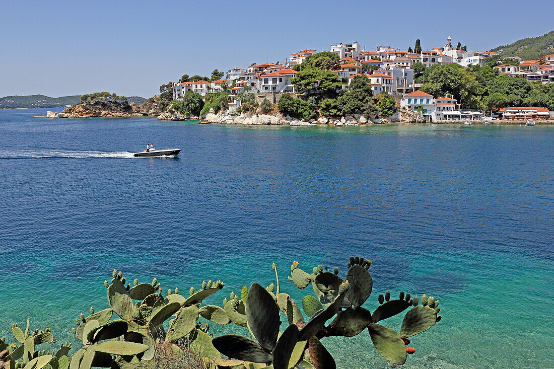 View from the Bourtzi peninsula towards the entrance of the port of Skiathos town, Skiathos island, Northern Sporades, Greece