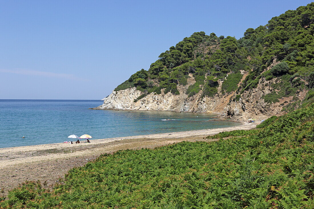 Ligaries Strand an der Nordküste der Insel Skiathos, Nördliche Sporaden, Griechenland