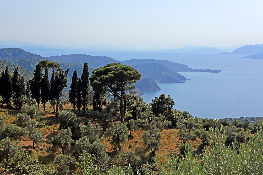 View over the north coast of Skiathos island, Northern Sporades, Greece