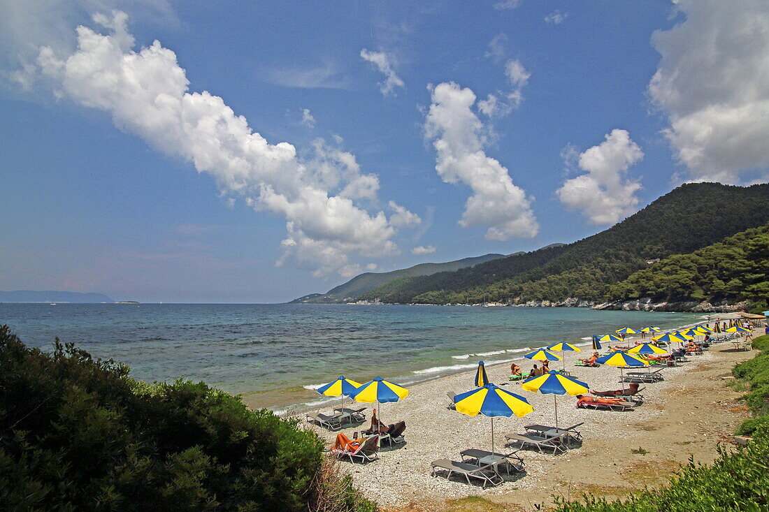 Milia beach on the south coast of Skopelos island, Northern Sporades, Greece