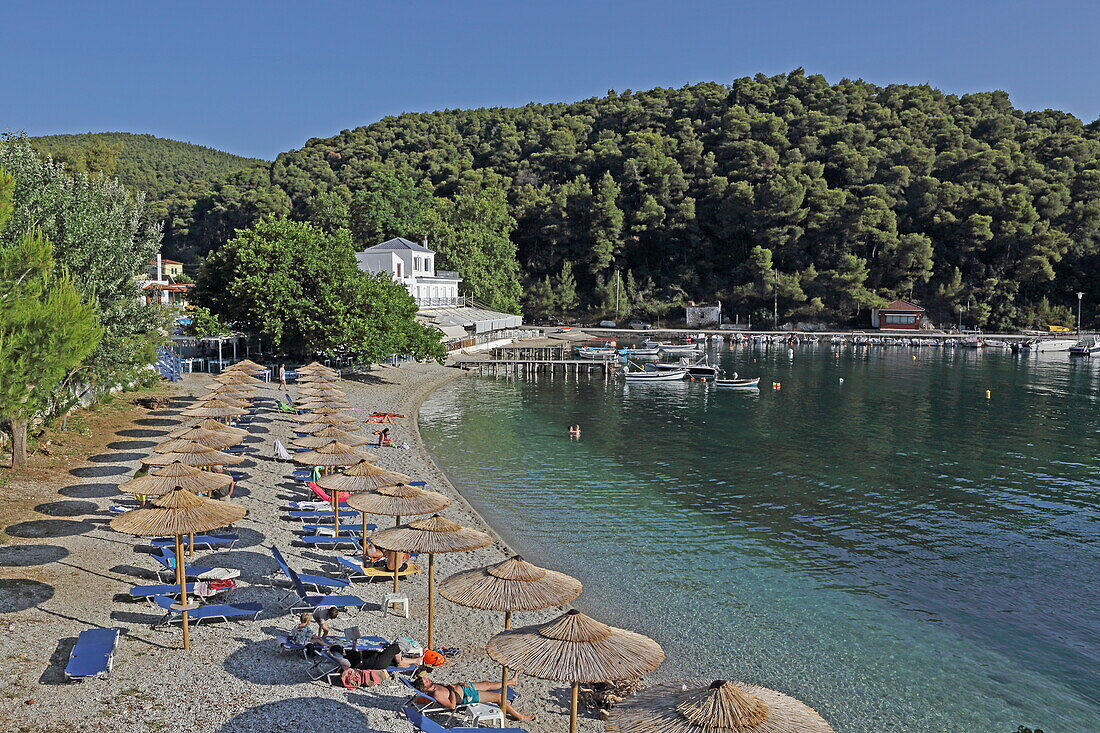 Der Strand von Agontas ist auch für seine hervorragenden Fischlokale bekannt, Insel Skopelos, Nördliche Sporaden, Griechenland