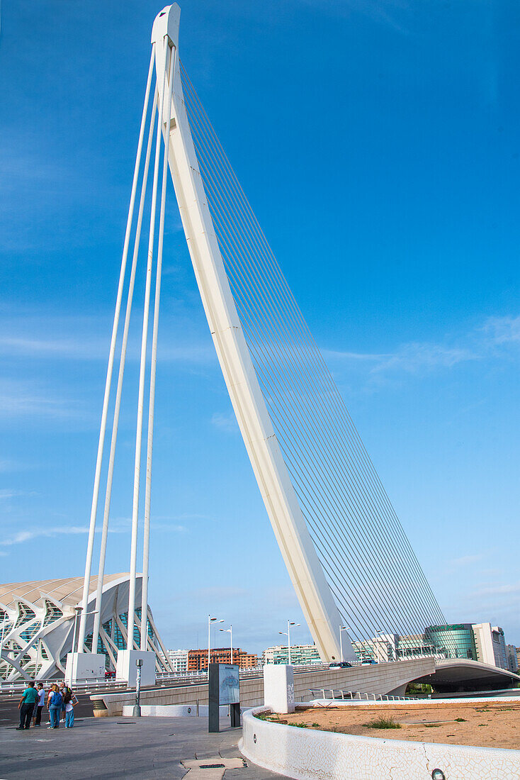 Netzkonstruktion, Museum der Kunst und Wissenschaft 'Ciudad de las Artes y las Ciencias', Valencia, Spanien