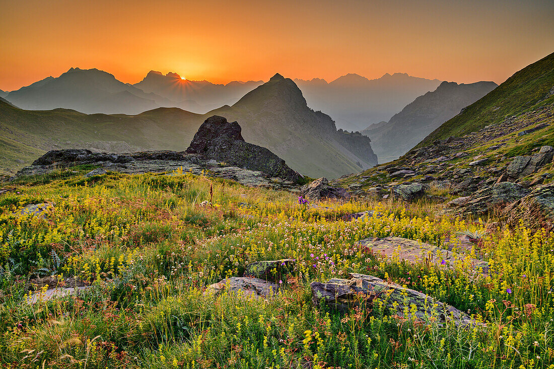 Sonnenaufgang über Bergsilhouetten und Blumenwiese, Ibon de Anayet, Pyrenäen, Aragon, Spanien