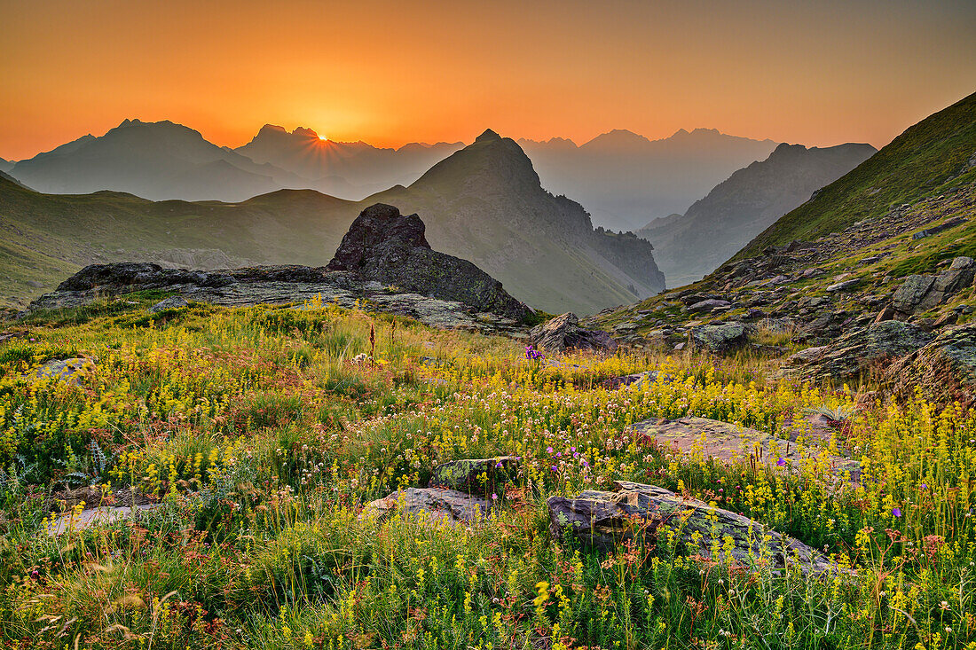 Sunrise over mountain silhouettes and flower meadow, Ibon de Anayet, Pyrenees, Aragon, Spain
