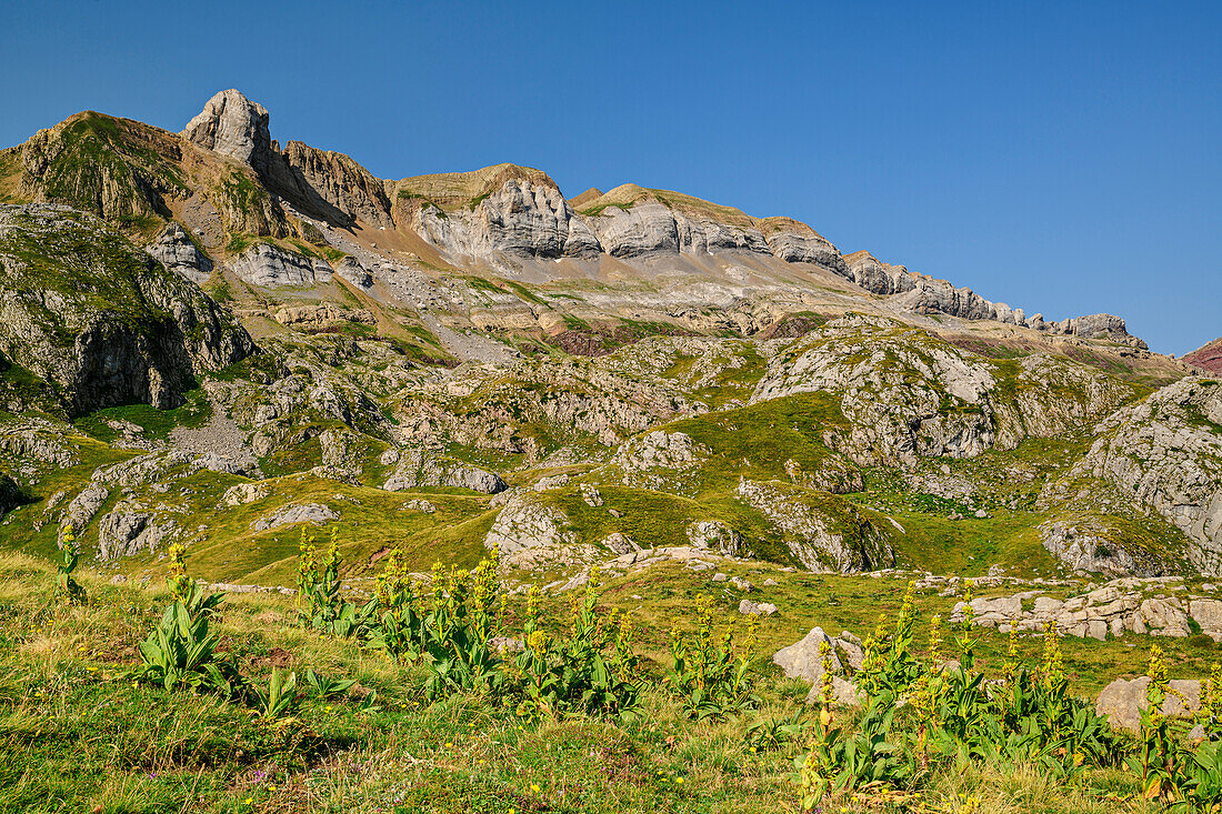 Mountain meadows below the Circo de Olibon, Pyrenees, Aragon, Spain