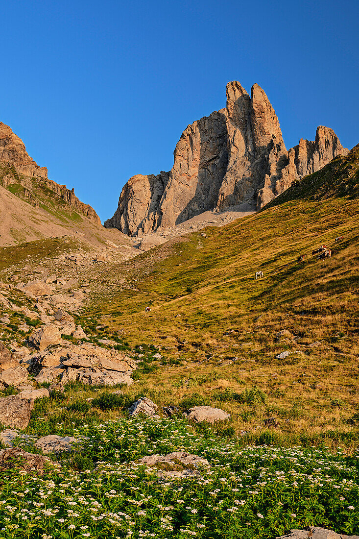 Aiguille Ansabere im Morgenlicht, Cirque de Lescun, Vallee Aspe, Pyrenäen, Frankreich