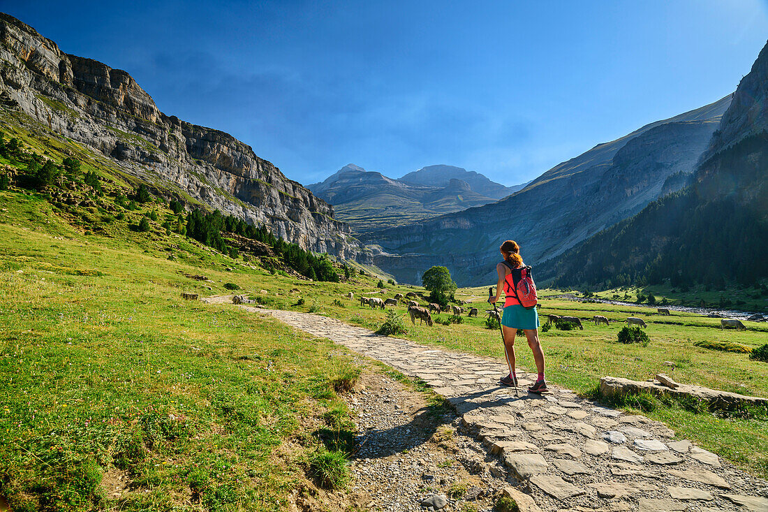 Woman hiking on path in the valley of the Rio Arazas, Monte Perdido in the background, Rio Arazas, Ordesa Valley, Ordesa y Monte Perdido National Park, Ordesa, Huesca, Aragon, Monte Perdido UNESCO World Heritage Site, Pyrenees, Spain