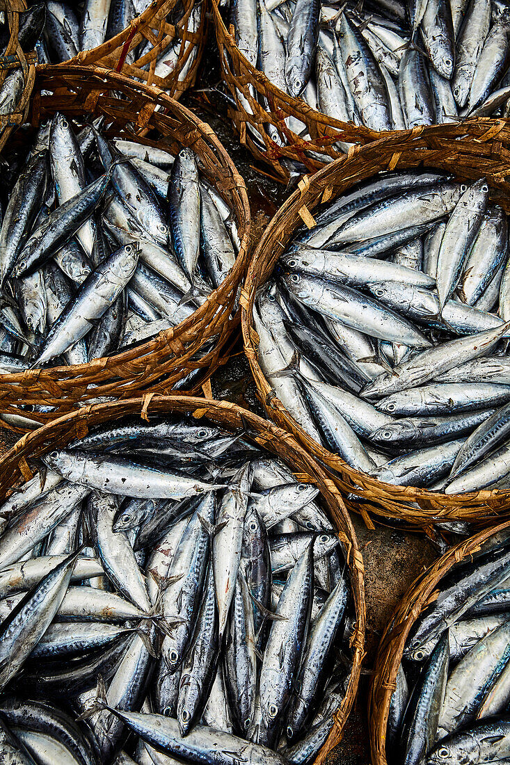 Baskets of fish at a seaside village in Karangasem Bali Indonesia