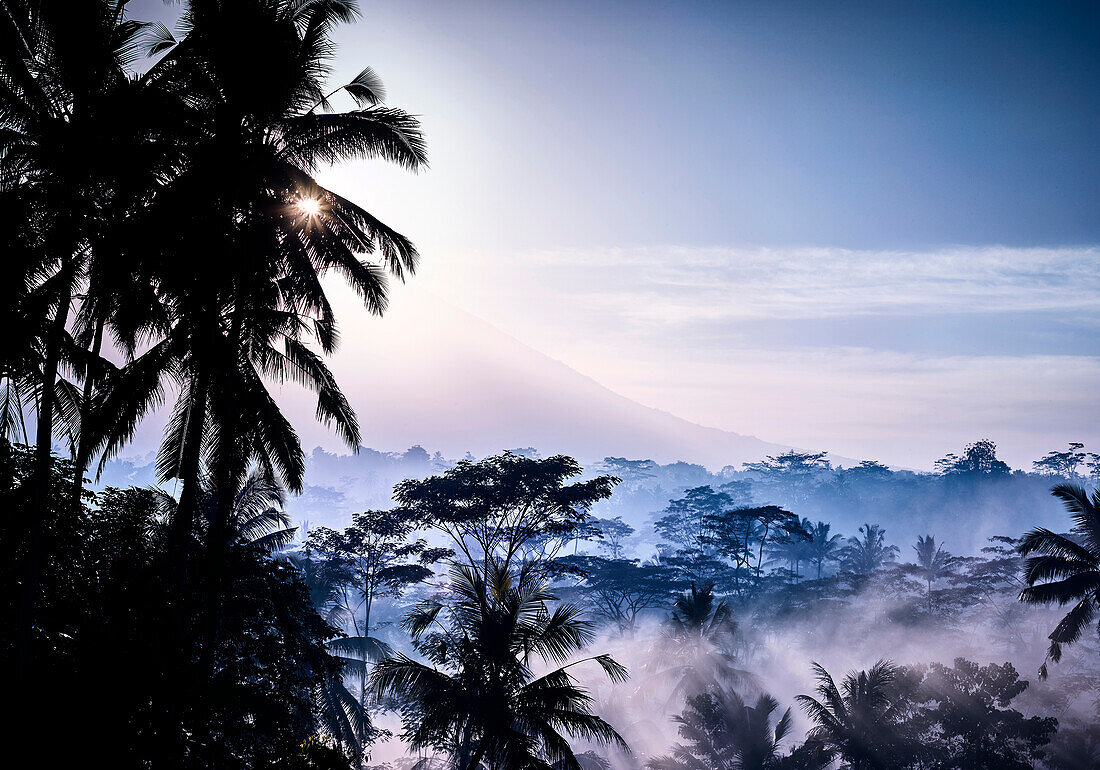 Nebel am frühen Morgen bei Sonnenaufgang, Reisfelder außerhalb von Ubud in der Region Gianyar von Bali Indonesien