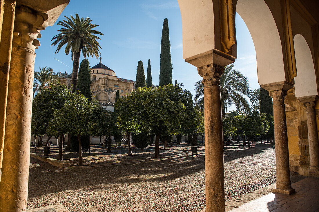 Innenhof von Mezquita, Cordoba Stadt, Andalusien, Spanien