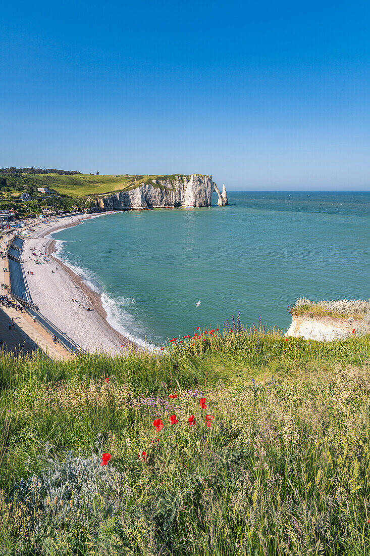 View of the Etretat chalk ledges with wildflowers in the foreground
