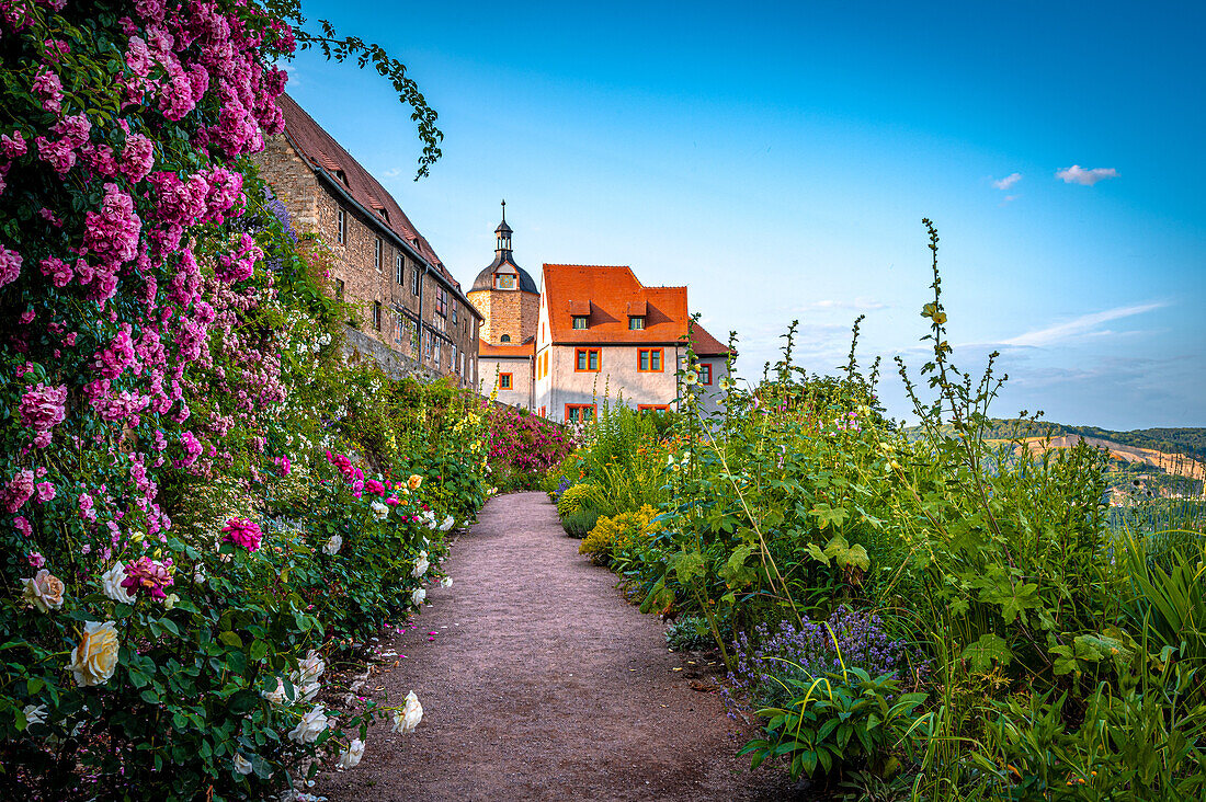Blick auf das 'Alte Schloss' im Schlosspark der Dornburger Schlösser bei Jena, Dornburg-Camburg, Thüringen, Deutschland