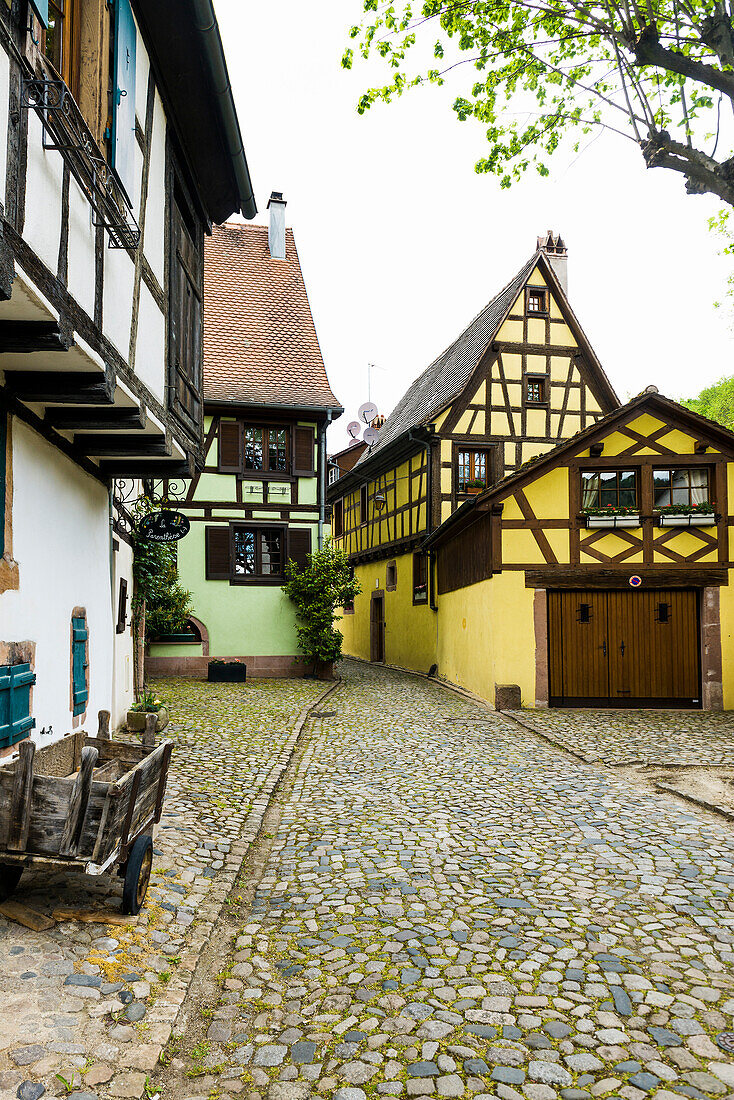 Mittelalterliche bunte Fachwerkhäuser, Kaysersberg, Grand Est, Haut-Rhin, Elsass, Frankreich