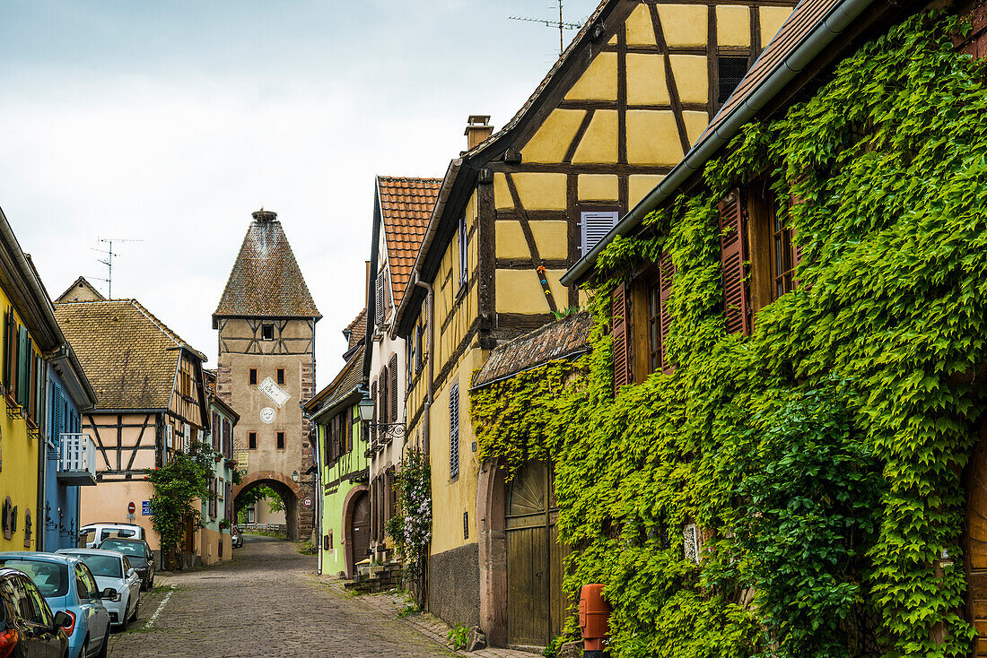 Mittelalterliche bunte Fachwerkhäuser, Ammerschwihr, Grand Est, Haut-Rhin, Elsass, Frankreich
