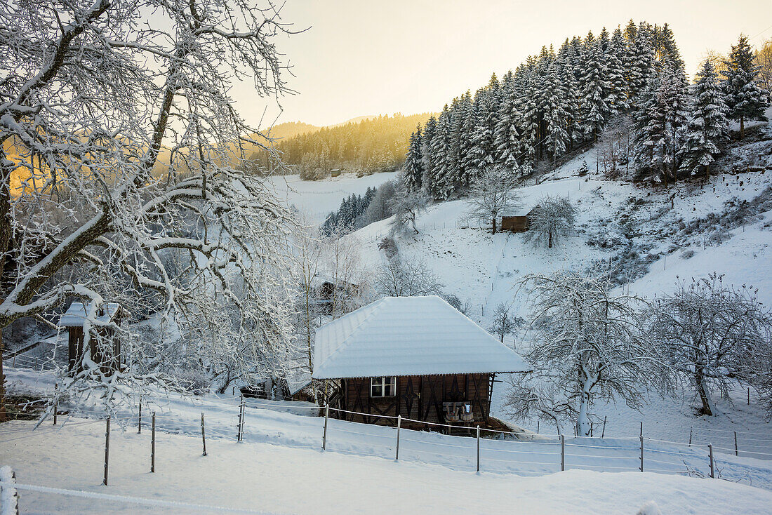 snowy Schwarzwaldhof, Oberhamersbach, Black Forest, Baden-Württemberg, Germany