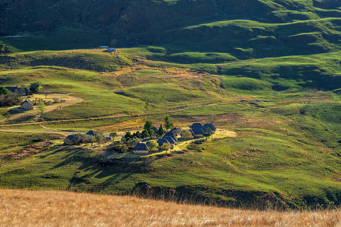 Tiefblick auf Cottages, Lotheni, Drakensberge, Kwa Zulu Natal, Maloti-Drakensberg, Südafrika