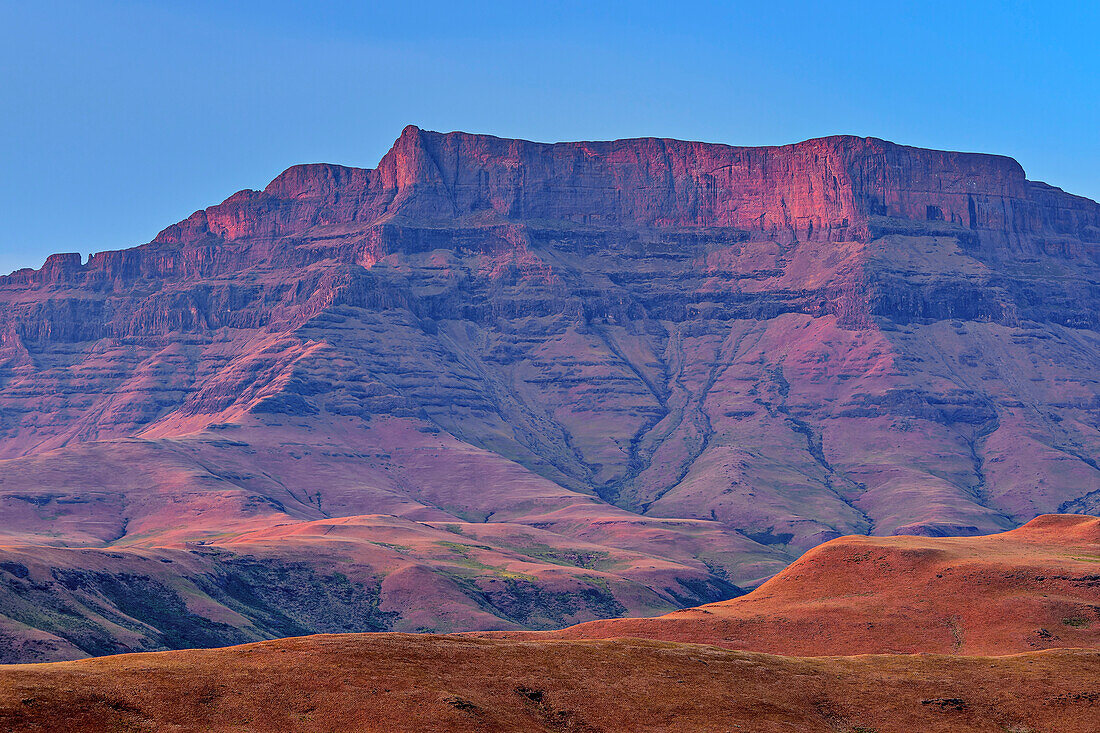 Blick auf Drakensberge vom Langalibalele Ridge, Langalibalele Ridge, Giant's Castle, Drakensberge, Kwa Zulu Natal, Maloti-Drakensberg, Südafrika