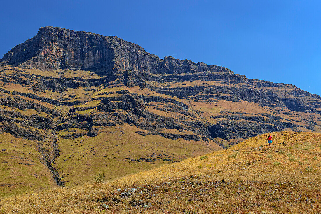 Woman hiking descends from Langalibalele Pass, Langalibalele Pass, Giant's Castle, Drakensberg Mountains, Kwa Zulu Natal, Maloti-Drakensberg UNESCO World Heritage Site, South Africa