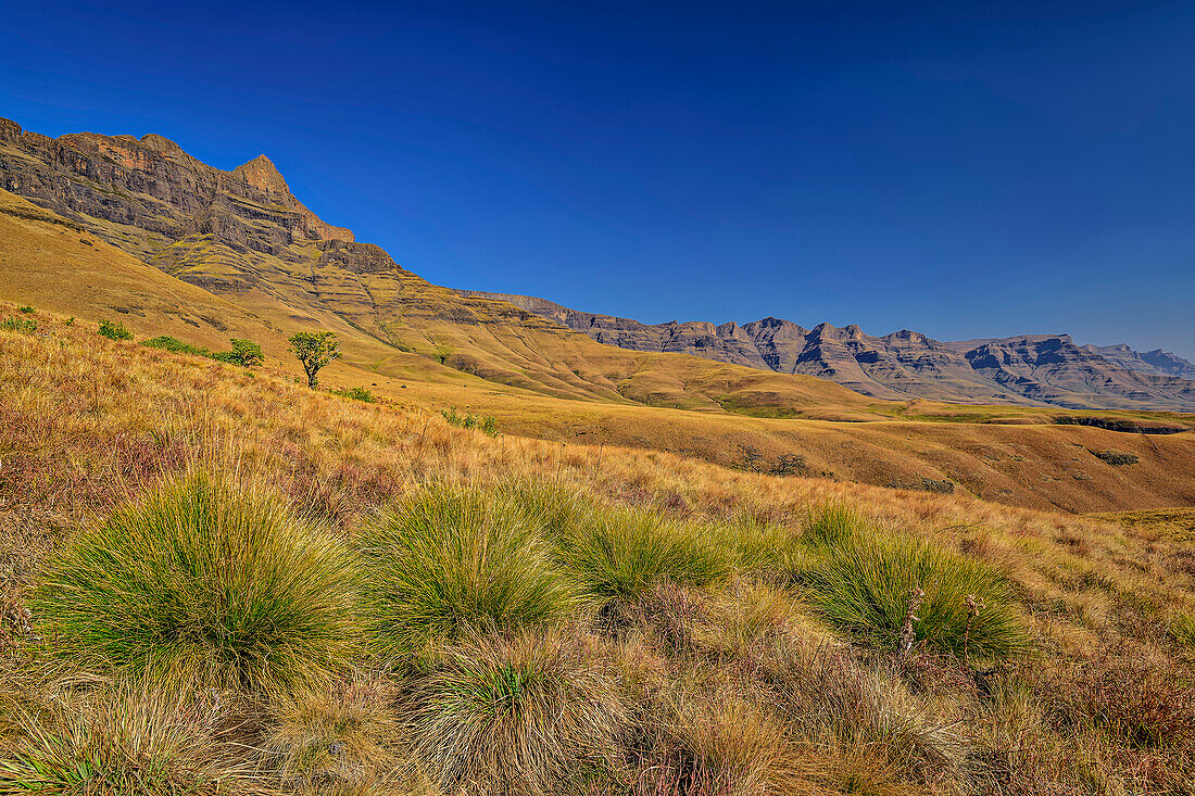 Drakensberge vom Contour-Path, Giant's Castle, Drakensberge, Kwa Zulu Natal, Maloti-Drakensberg, Südafrika