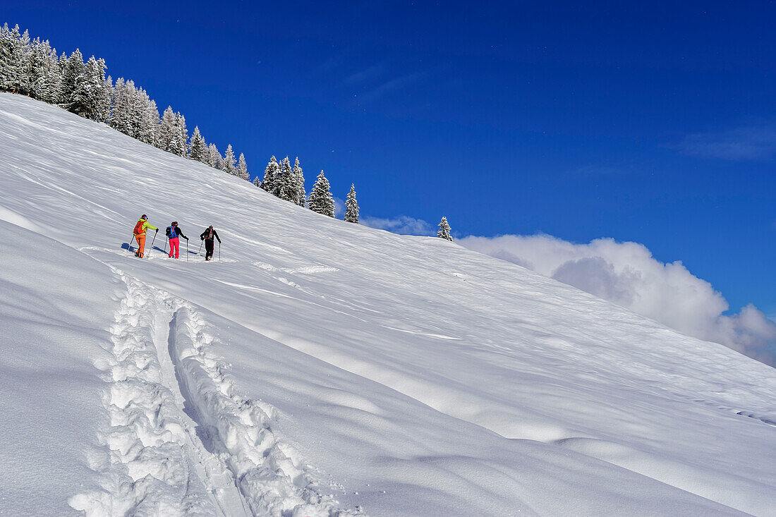 Drei Personen auf Skitour steigen zum Kleinen Gamsstein auf, Hochfügen, Tuxer Alpen, Tirol, Österreich
