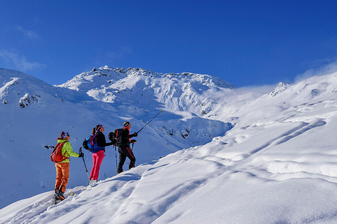Drei Personen auf Skitour steigen zum Kleinen Gamsstein auf, Gilfert im Hintergrund, Kleiner Gamsstein, Hochfügen, Tuxer Alpen, Tirol, Österreich
