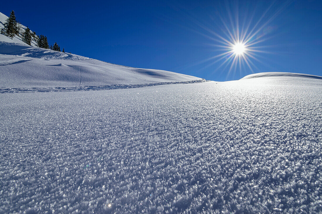 Skispur führt durch Rauhreif, Wiedersberger Horn, Kitzbüheler Alpen, Tirol, Österreich