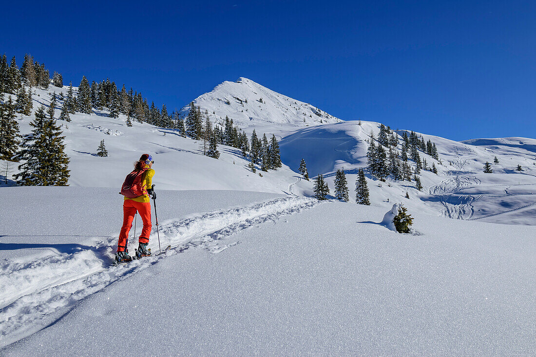 Frau auf Skitour steigt zum Wiedersberger Horn auf, Wiedersberger Horn im Hintergrund, Kitzbüheler Alpen, Tirol, Österreich