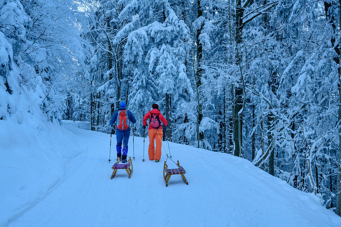 Mann und Frau mit Schlitten steigen zur Steinlingalm auf, Kampenwand, Chiemgauer Alpen, Oberbayern, Bayern, Deutschland