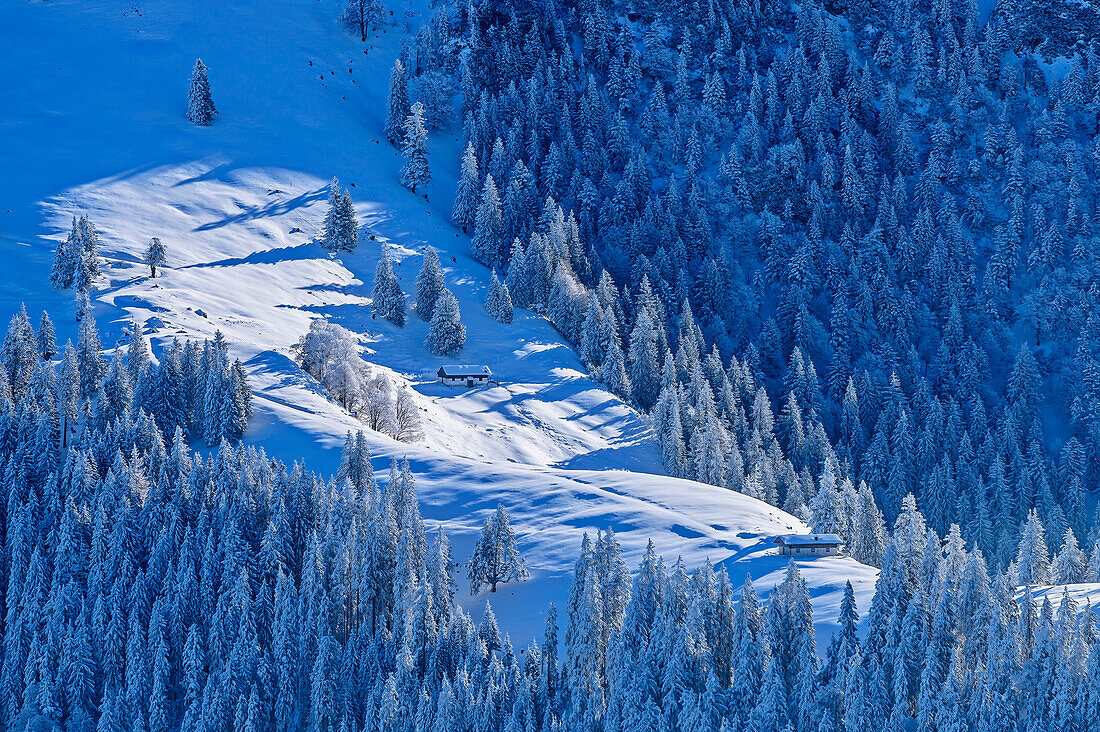 Blick auf verschneite Almen, vom Sulten, Chiemgauer Alpen, Oberbayern, Bayern, Deutschland