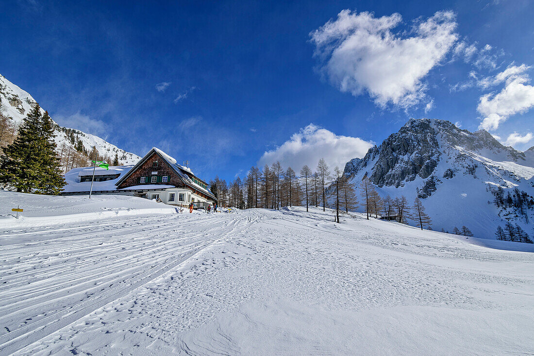 Skispuren vor der Klagenfurter Hütte mit Blick auf Bielschitza im Hintergrund, Rosental, Karawanken, Kärnten, Österreich