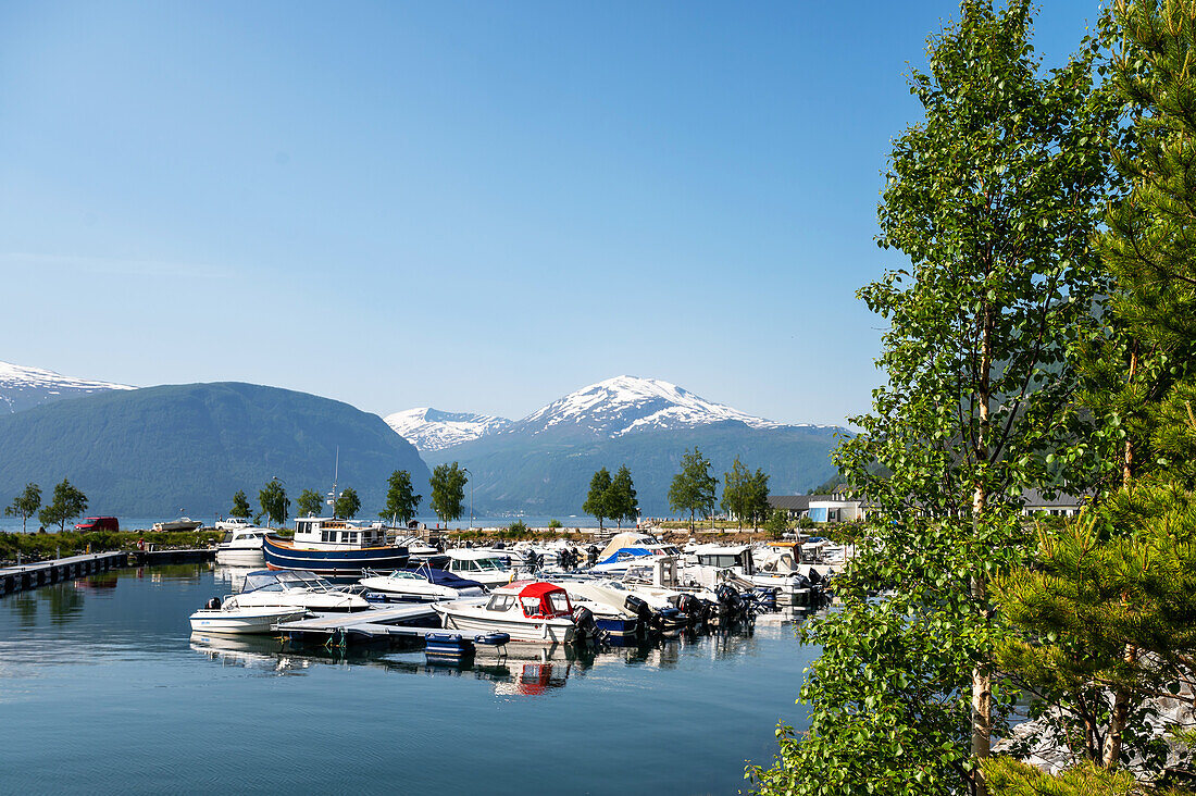 View of Valldal Boat Harbour, Moere and Romsdal, Norway