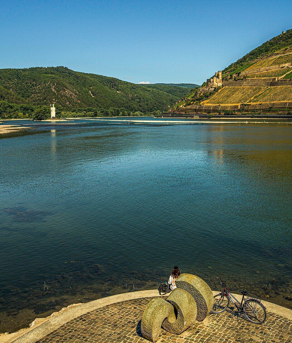 A cyclist rests at the Rhein-Nahe-Eck in Bingen, view over the Nahe estuary and over the Rhine to the Mause Tower and the ruins of Ehrenfels Castle in the Niederwald, Hesse and Rhineland-Palatinate, Germany