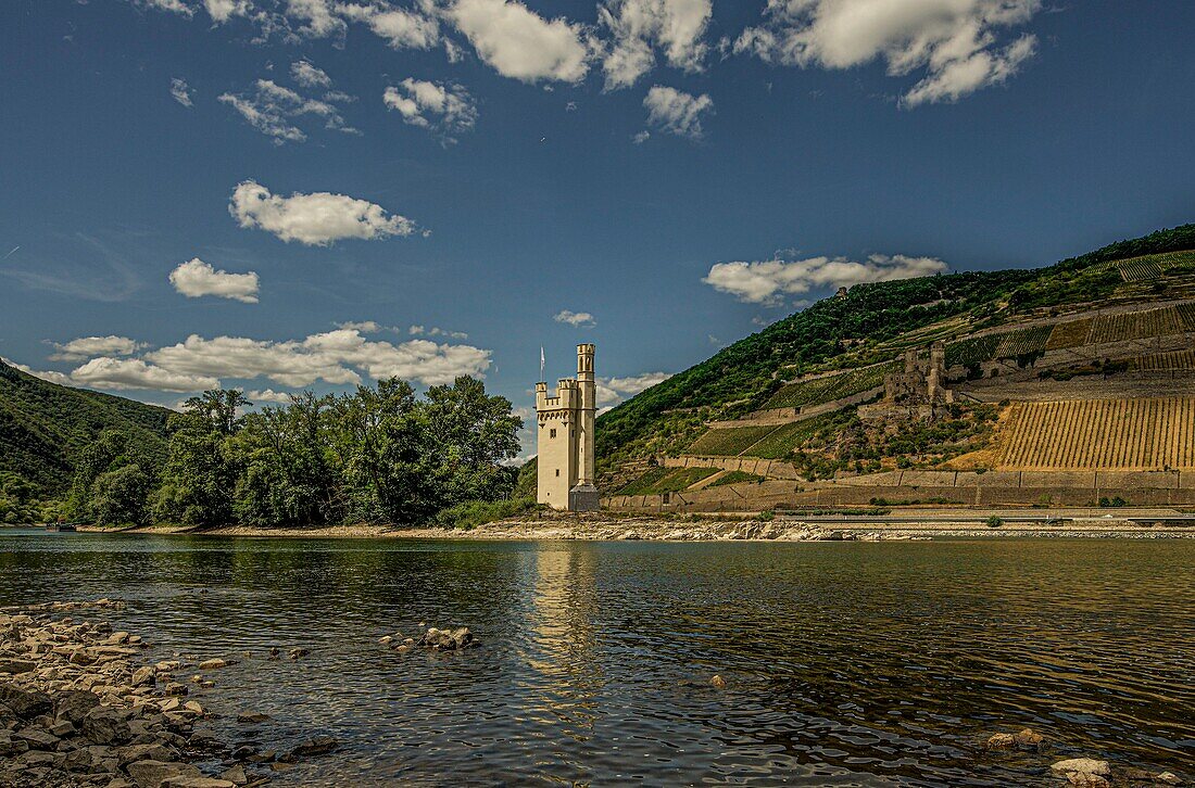 Mäuseturm auf Rheininsel, im Hintergrund die Burgruine Ehrenfels am Niederwald, Bingen, Rheinland-Pfalz, Deutschland