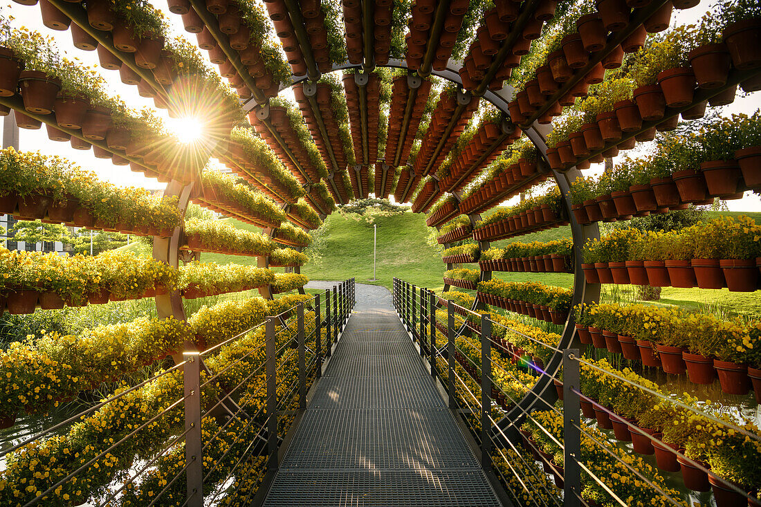 Scent tunnel in the Autostadt in Wolfsburg, Lower Saxony, Germany, Europe